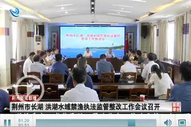 荆州市长湖、洪湖水域禁渔执法监管整改工作会议召开图片