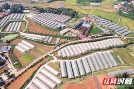 “四敢”在岳阳丨湘阴奋力打造县域经济发展新样板图片