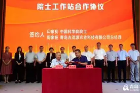 【青视点】旱黄瓜种子占全国市场的35％ 青岛国际种都核心区构建陆海种业高地图片