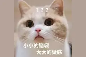 夏季高温，放车辆里的矿泉水有毒？真相竟出乎意料！图片