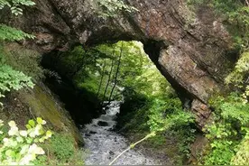 竹山柳林：鬼斧神工“天生桥”图片