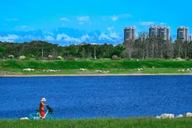 在成都街头走一走|遇见城市拼图里的“幸福密码”图片
