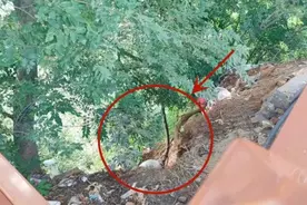 10岁小女孩坠山崖，警民携手悬崖峭壁上展开生命接力图片