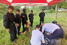 警犬“天龙”山林立功 成功排除危爆物品图片