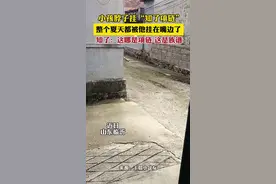 小孩脖子挂“知了项链”，整个夏天都被他挂在嘴边了，知了：这哪是项链 这是族谱图片