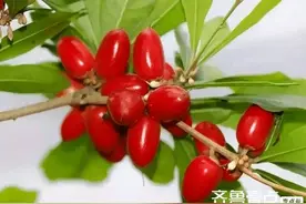 做人就要学会放下图片