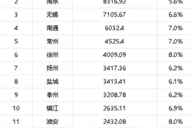 江苏13市经济半年报出炉：谁在领跑，谁跑得最快？图片