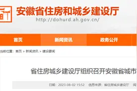 省住房城乡建设厅组织召开安徽省城市生命线工程应用场景拓展工作座谈会图片