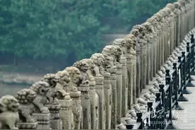 雨后：卢沟桥的狮子安然无恙图片