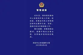 演唱会没开始歌迷先打起来了？西安警方通报→图片