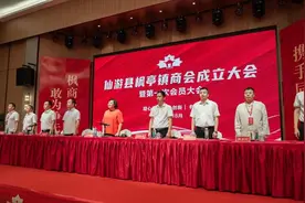 凝心聚力，共赢未来！仙游县枫亭镇商会今日正式成立图片