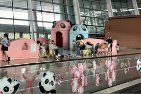 成都熊猫经济观察：看一次“花花”带动消费近1500元，IP还得跨界破圈图片