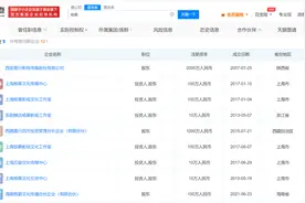 杨幂再退出1家与嘉行老板合开公司图片
