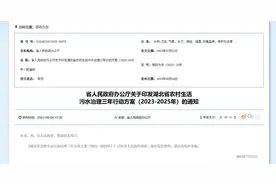 湖北出台专项行动方案，全面消除因生活污水引起的农村黑臭水体图片