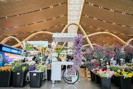 有一种叫云南的生活｜昆明机场出发大厅能买鲜花啦！图片