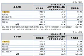 IPO雷达 | 依赖宁德时代的纳科诺尔：经营现金流转负，存货大增跌价准备却下降图片