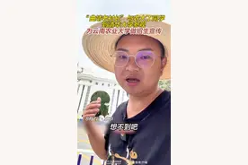 云南这波上分又赢麻了图片