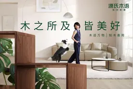 大家居时代成品家具如何进行自我审视，源氏木语这次升级给出了答案图片