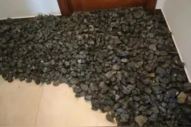 扎心！北京一藏友买了2.6吨这个....以为价值连城！图片