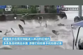 云南出现大面积鱼群“跳龙门”，地震前兆？官方回应图片