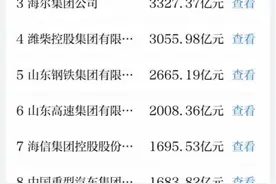 社会责任云平台上线，山东百强企业责任报告一键查询图片