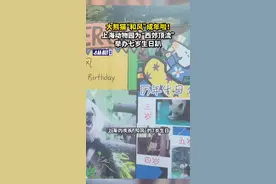 大熊猫“和风”成年啦！上海动物园为“西郊顶流”举办七岁生日趴图片