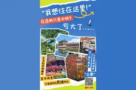 在昆明只是中转？亏大了……图片