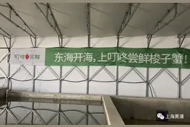 东海开海，第一口鲜来了！梭子蟹、皮皮虾多种吃法开“卷”图片