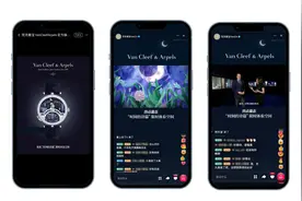 从巴黎世家到梵克雅宝 顶奢们在天猫掀起直播潮图片