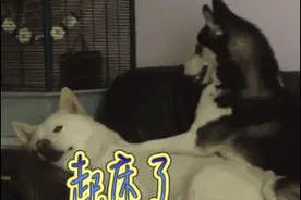 “起猛了”是什么梗，用英语怎么说？图片