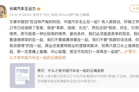 长城汽车CTO王远力：不如先打一架再在一起图片