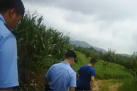 车陷泥潭难自救 泰安民警偶遇急救援图片
