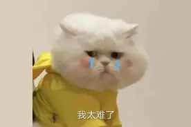 高铁票越来越难买？12306回应！抢票难、候补烦，攻略来了！图片