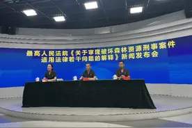 砍伐吹倒或枯死树木犯罪吗？最高法：危害不大不以犯罪论处图片