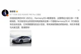 华为 x 奇瑞LUXEED横空出世 华为智选车迎来蜕变图片