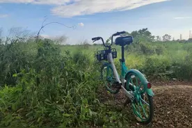 海报调查丨偌大广州南站，缘何少见共享单车？图片