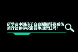 秒懂法律|研学途中因孩子自身原因导致受伤，责任谁担？图片