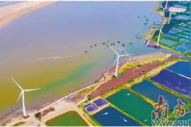 国家历史文化名城引来“金凤凰”图片