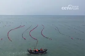 还海岛一片绿色 搭建垃圾分类“产业链”实现“变废为宝”图片