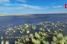 全国生态日|草原的尽头是“大海”图片