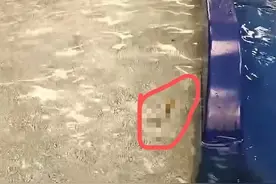 江苏一儿童在温泉池中排便，店家：立即清理并彻底换水，曾联系家长协商赔偿事项，但未获回应图片