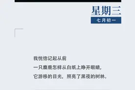 作家日签 | 谷禾：我听见空调在鸣响图片