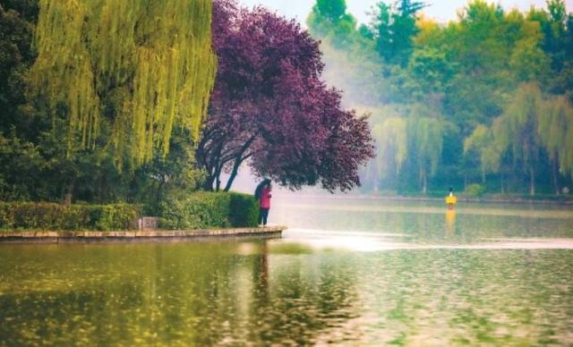 秋染长安色斑斓　霜落成诗醉流年