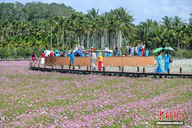 海南博鳌：绚烂花海引客来