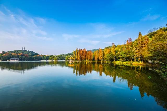 开平这些地方入选首批广东省农文旅融合发展精品线路！