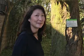 台湾音乐人郑华娟去世，代表作《聪明糊涂心》《太委屈》等图片