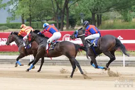 2024武汉马运会暨第二十届中国·武汉国际赛马节开赛图片