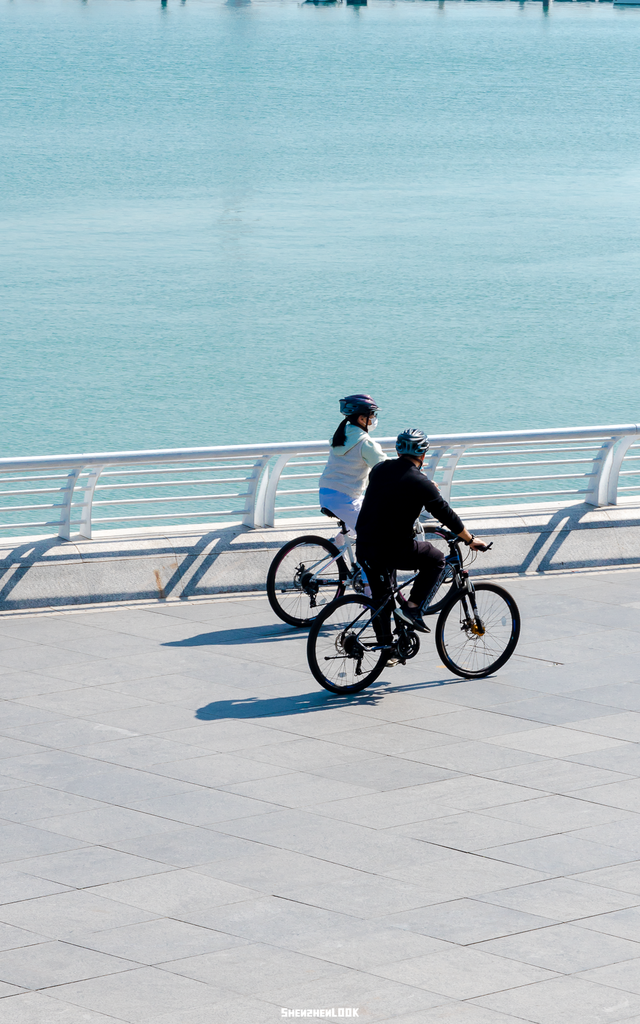 “看牛看海看夜景，深圳骑行路线精选”
