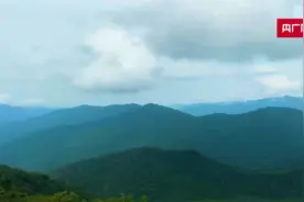 树上绿叶长，林下枯枝增——看东北林区如何防火图片