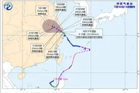 跟着“竹节草”，一起查收这份台风“复活”图鉴｜数据新闻图片